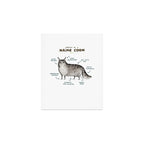 Anatomy of a Maine Coon Art Print Gallery Image 1