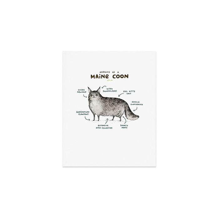 Anatomy of a Maine Coon Art Print Gallery Image 1