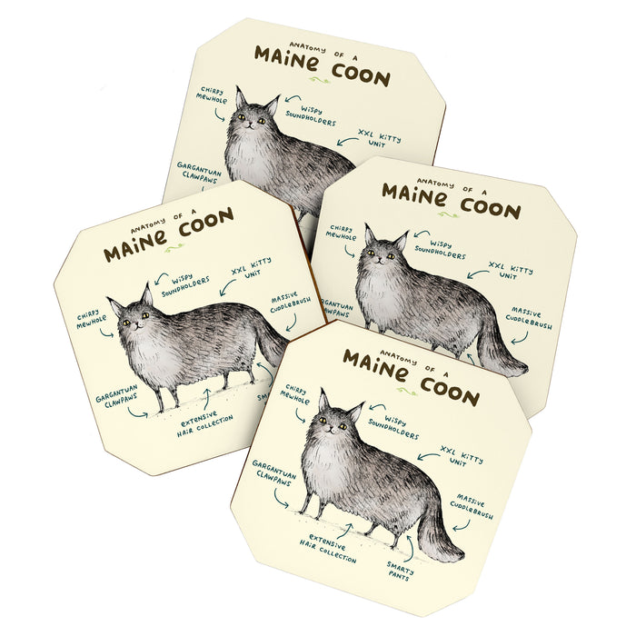 Anatomy of a Maine Coon Coaster Gallery Image 1