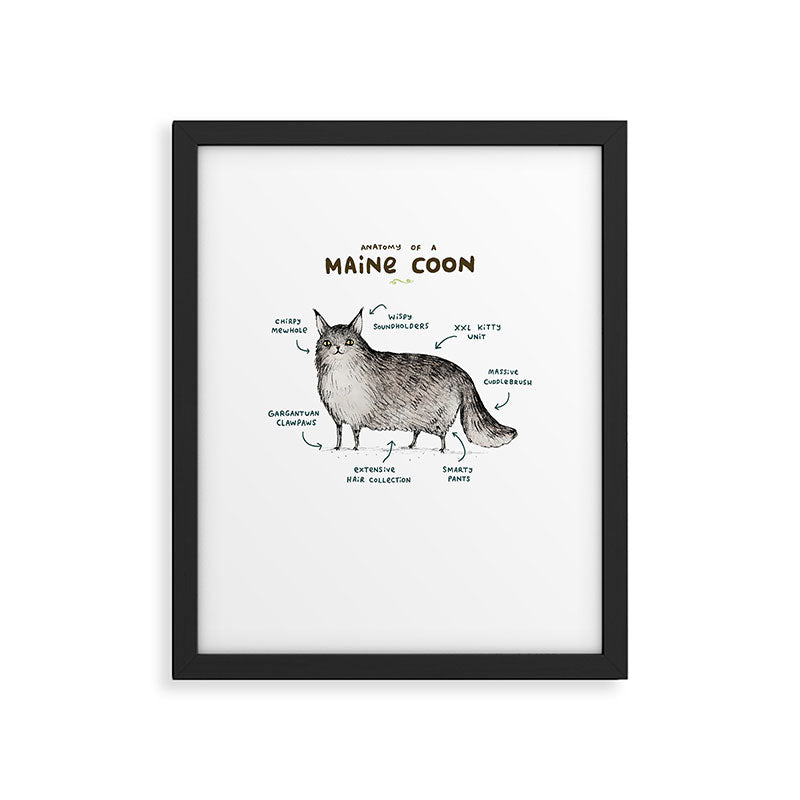 Anatomy of a Maine Coon Framed Art Print Gallery Image 4