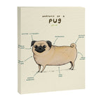 Anatomy of a Pug Canvas Print Gallery Image 8