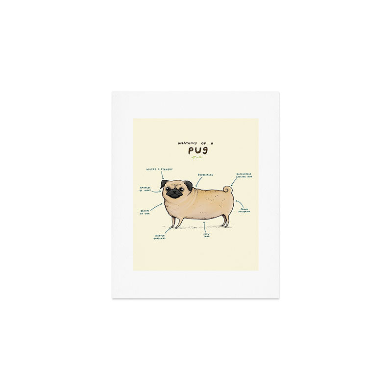 Anatomy of a Pug Art Print Gallery Image 1