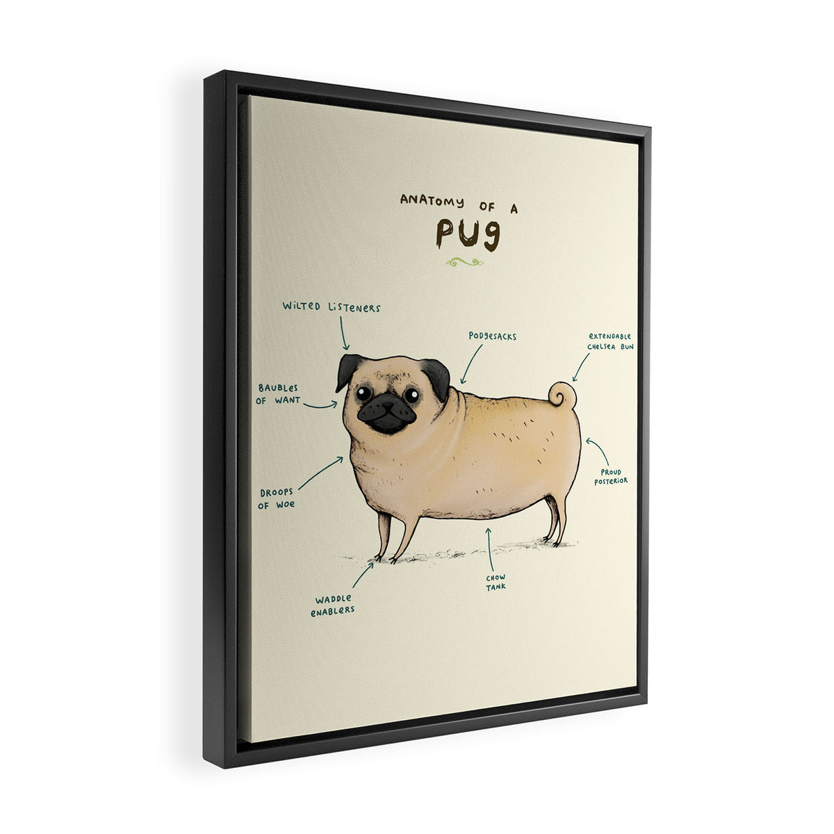 Anatomy of a Pug Framed Canvas Print Gallery Image 2