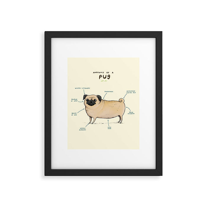 Anatomy of a Pug Framed Art Print Gallery Image 1