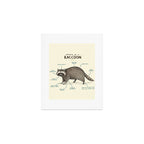 Anatomy of a Raccoon Art Print Gallery Image 1