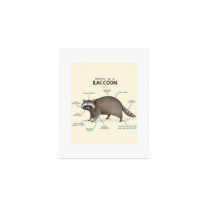Anatomy of a Raccoon Art Print Gallery Image 1