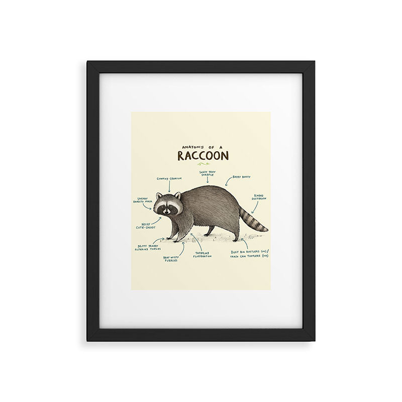 Anatomy of a Raccoon Framed Art Print Gallery Image 4