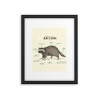 Anatomy of a Raccoon Framed Art Print Gallery Image 6