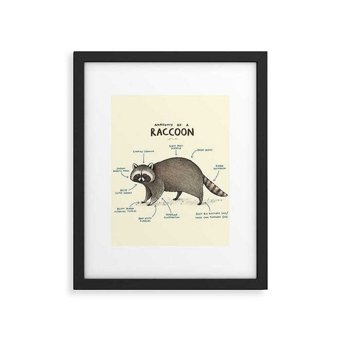 Anatomy of a Raccoon Framed Art Print Gallery Image 1