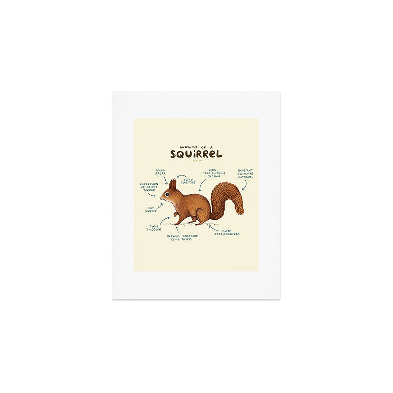 Anatomy of a Squirrel Art Print Gallery Image 1