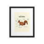 Anatomy of a Squirrel Framed Art Print Gallery Image 4