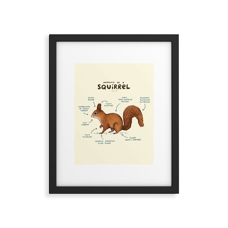 Anatomy of a Squirrel Framed Art Print Gallery Image 4
