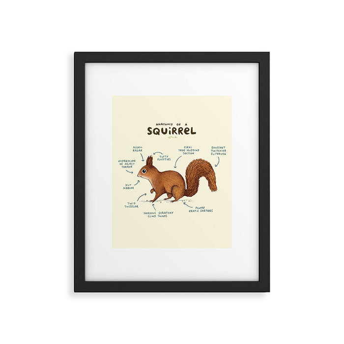 Anatomy of a Squirrel Framed Art Print Gallery Image 1