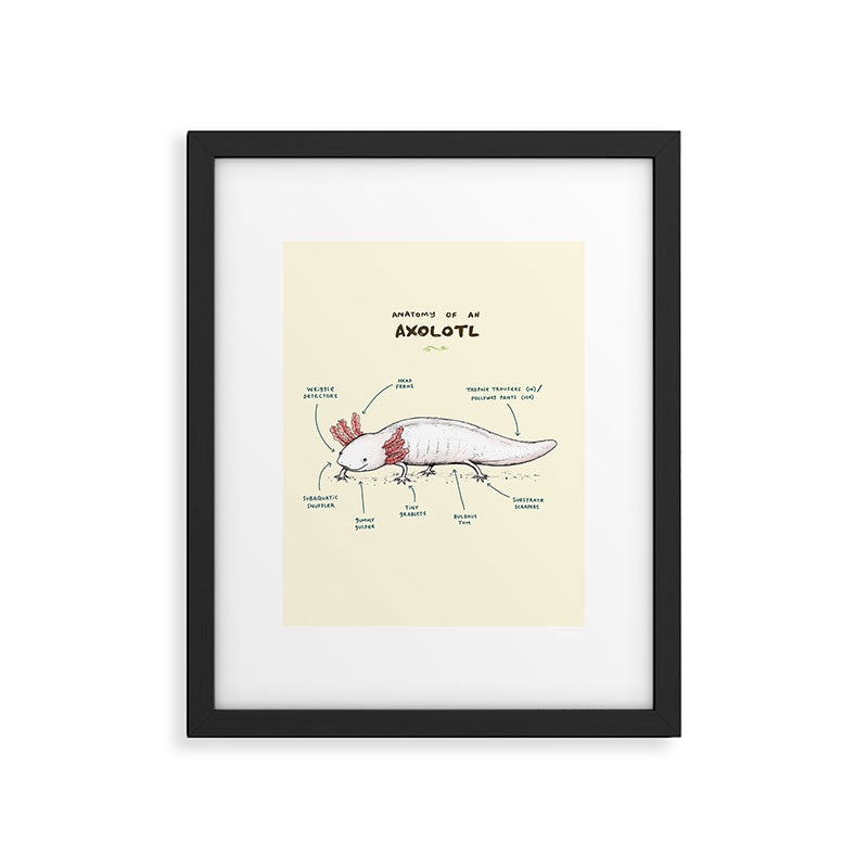 Anatomy of an Axolotl Framed Art Print Gallery Image 6