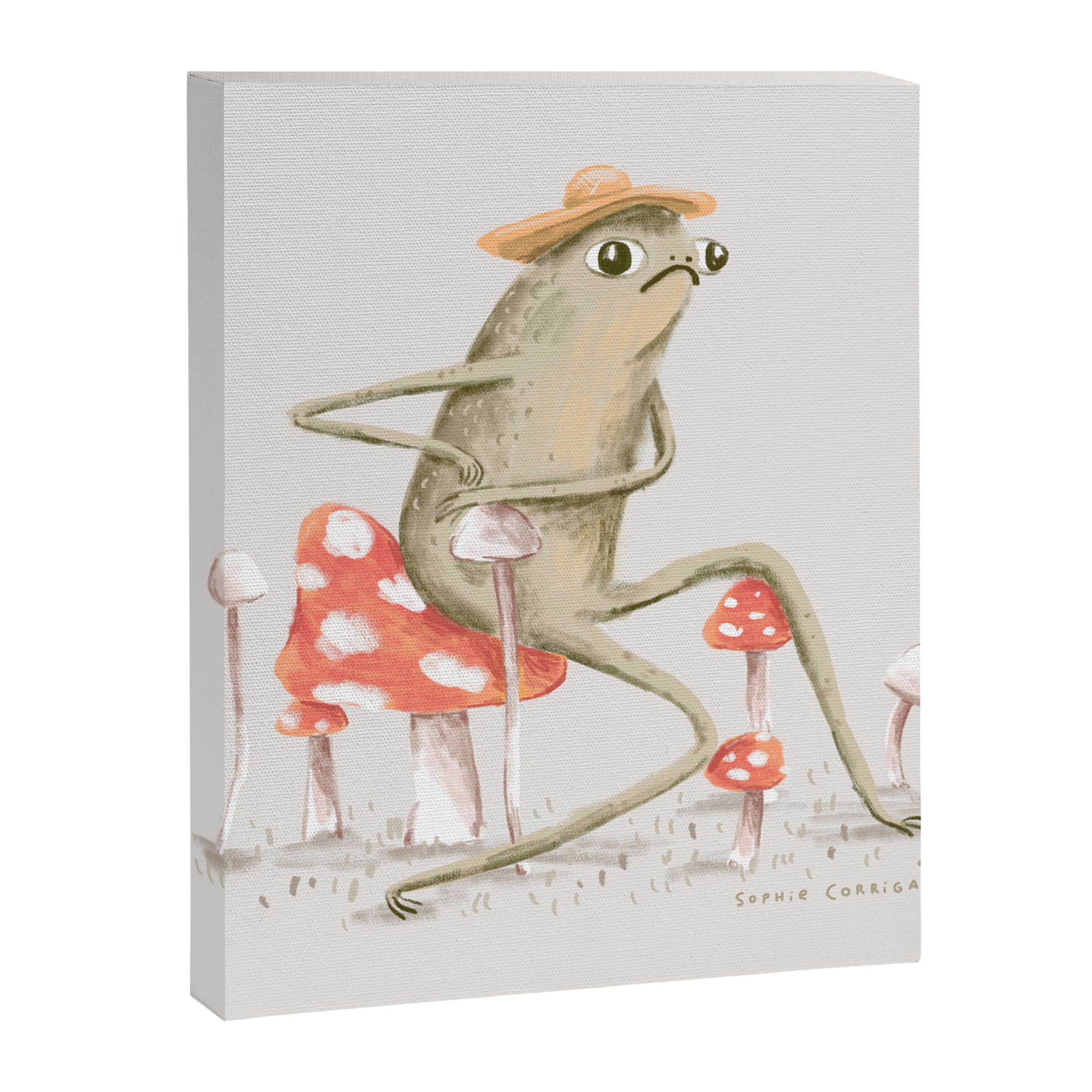 Awkward Toad Canvas Print Gallery Image 8