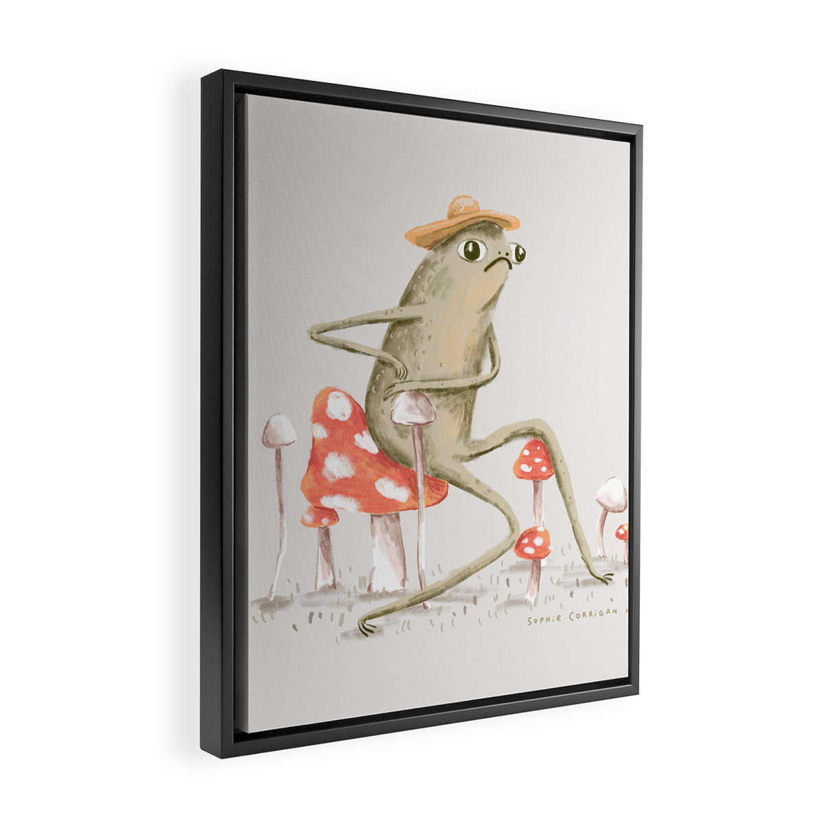 Awkward Toad Framed Canvas Print Gallery Image 2