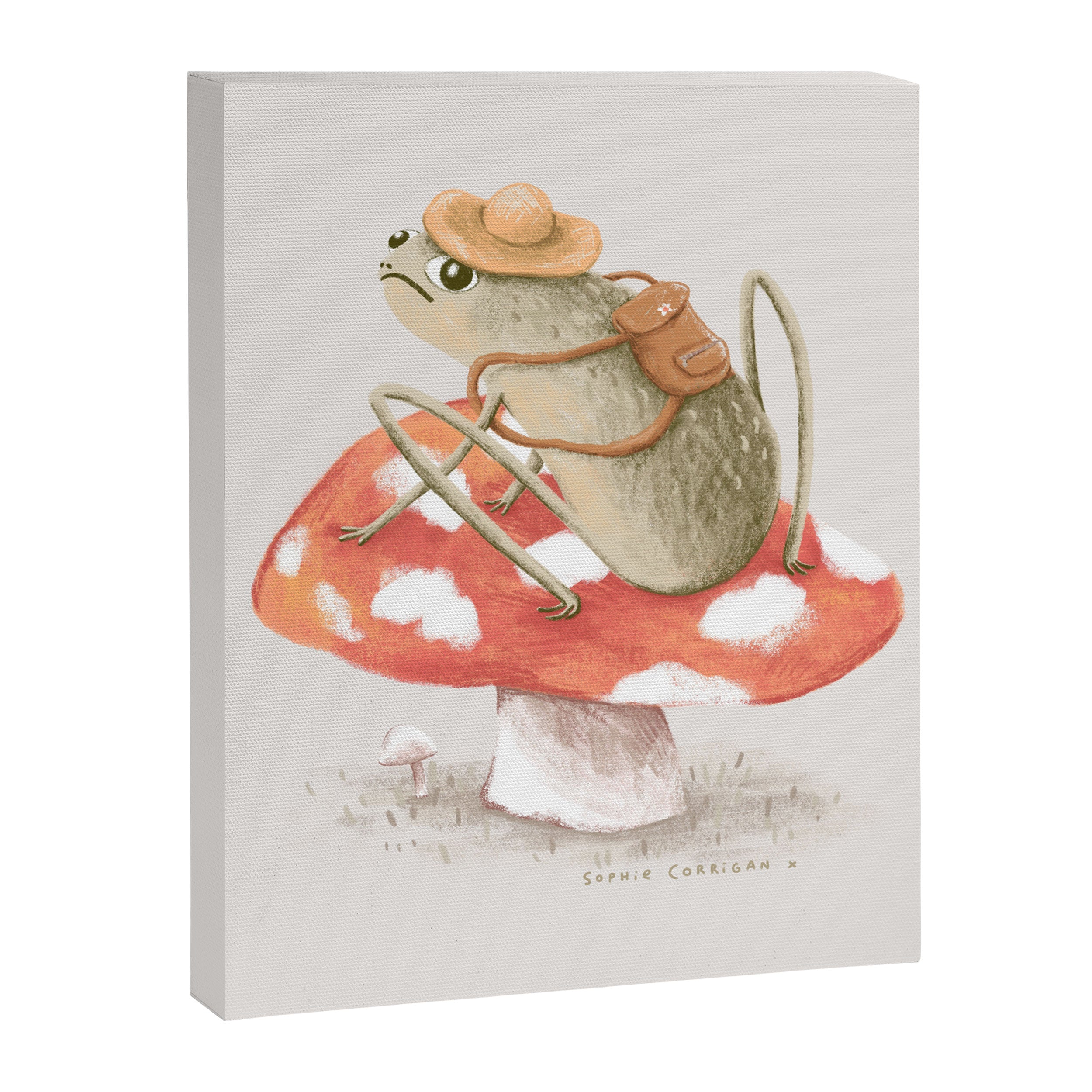 Awkward Toad Ready for Adventure Canvas Print Gallery Image 8