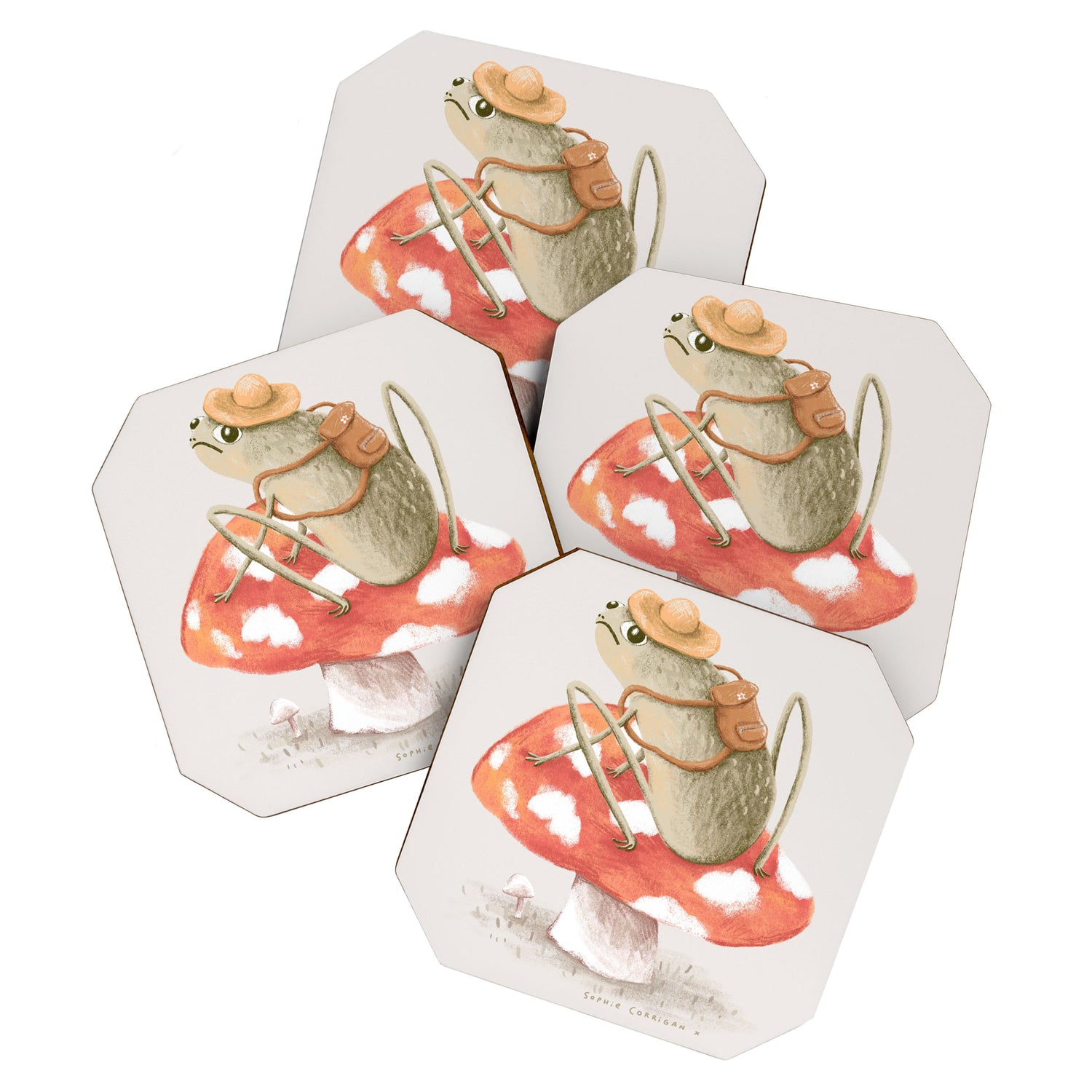Awkward Toad Ready for Adventure Coaster Gallery Image 1