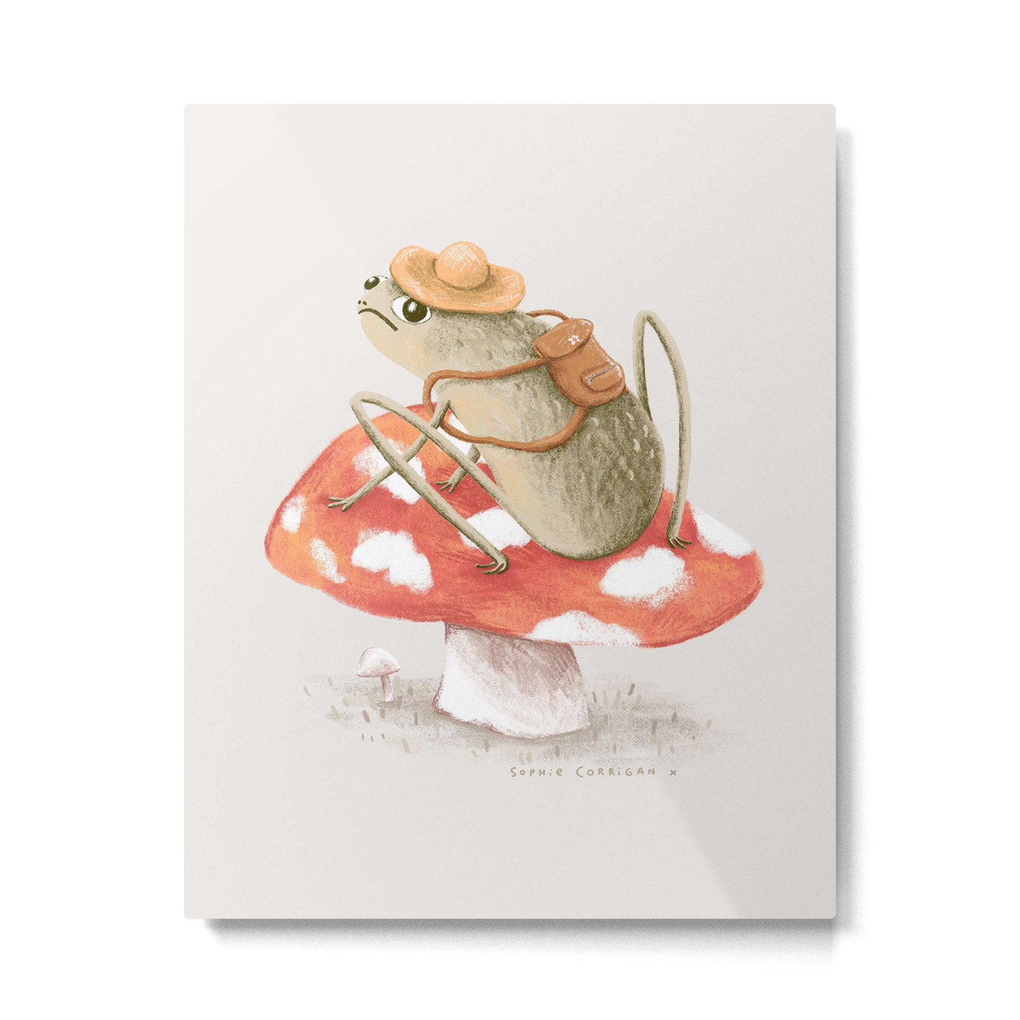 Awkward Toad Ready for Adventure Metal Print Gallery Image 6
