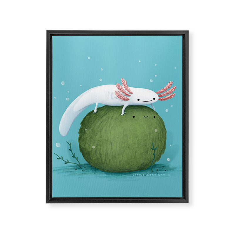 Axolotl on a Mossball Framed Canvas Print Gallery Image 8