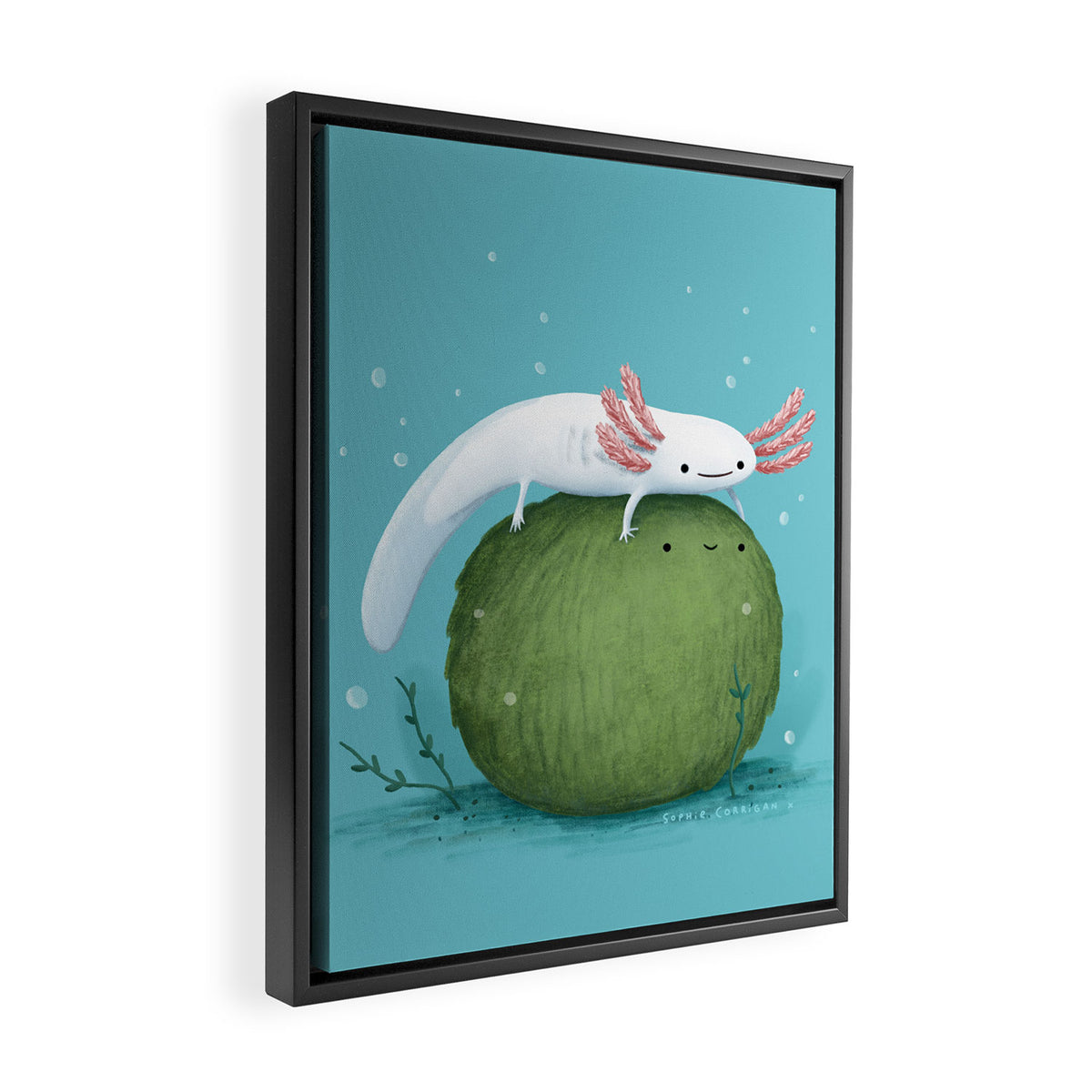 Axolotl on a Mossball Framed Canvas Print Gallery Image 2