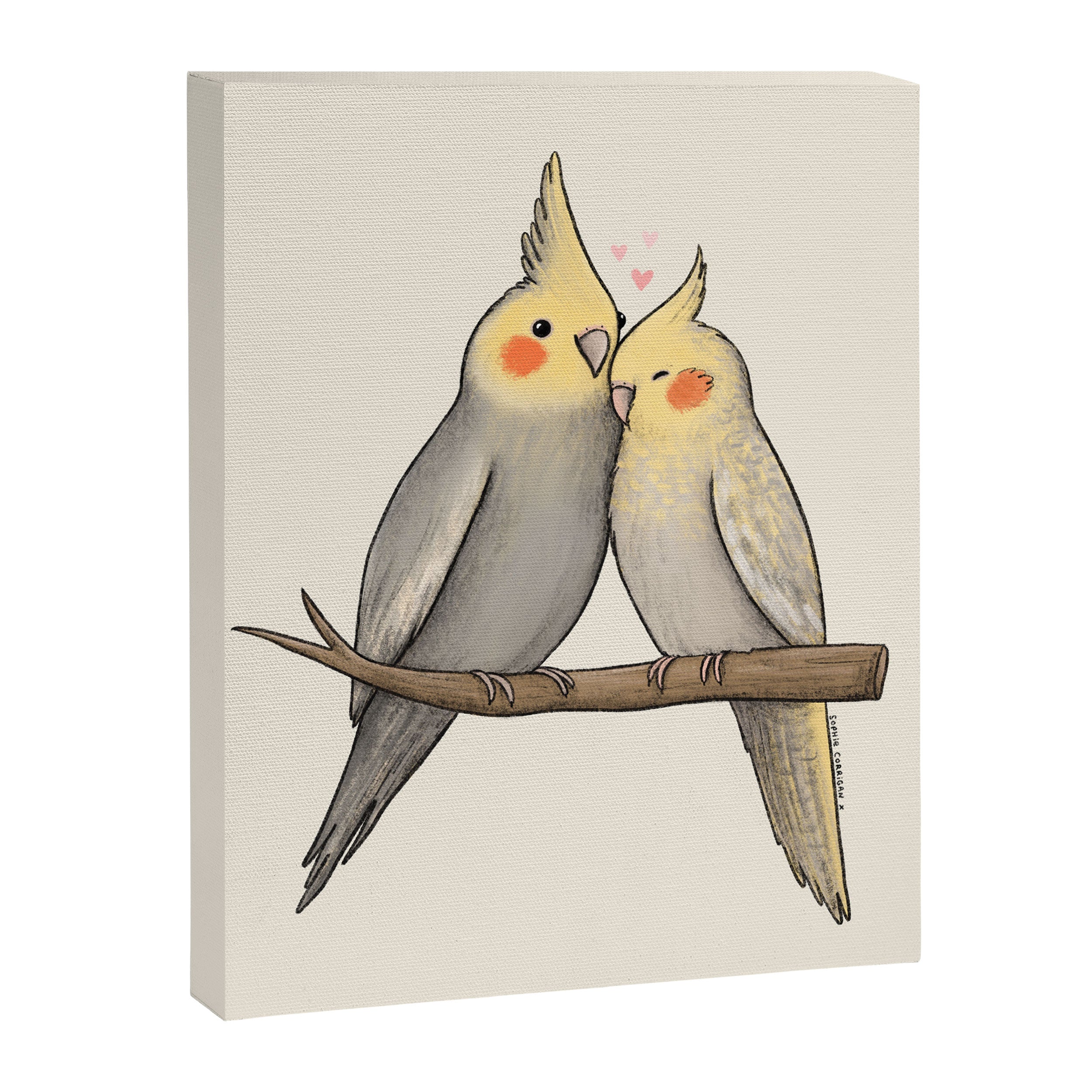 Cockatiel Cuddle Canvas Print Gallery Image 8