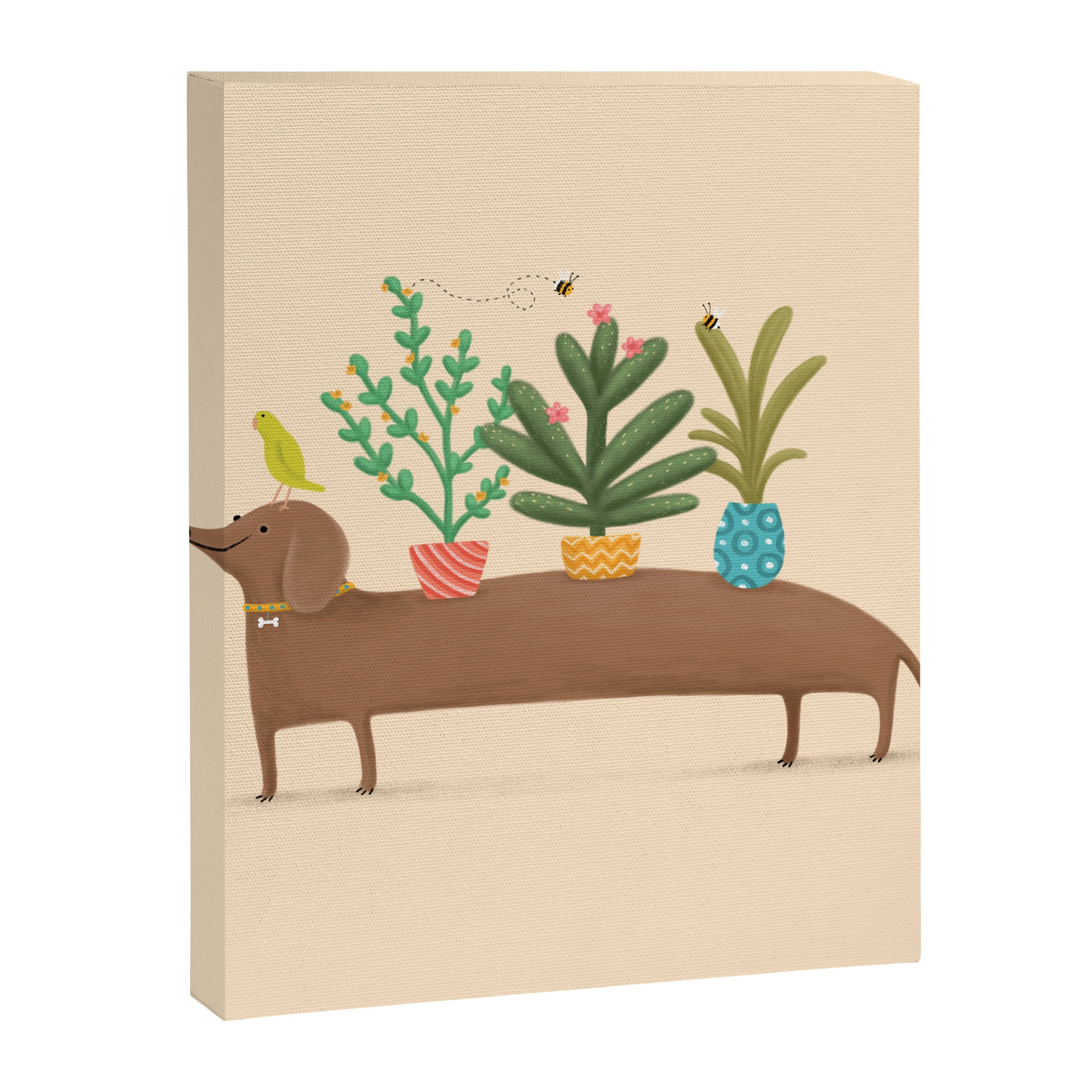 Dachshund & Parrot Canvas Print Gallery Image 8