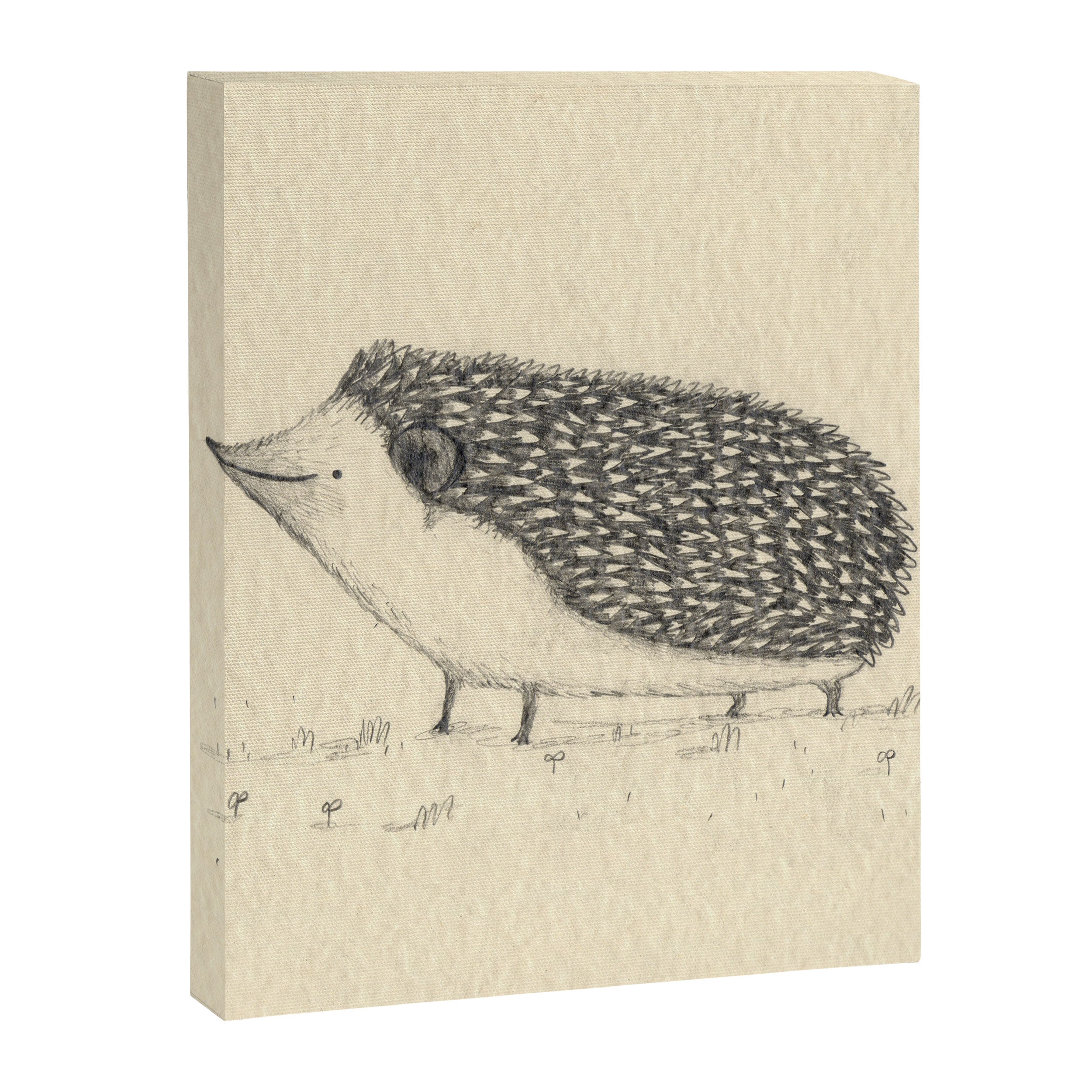 Monochrome Hedgehog Canvas Print Gallery Image 8