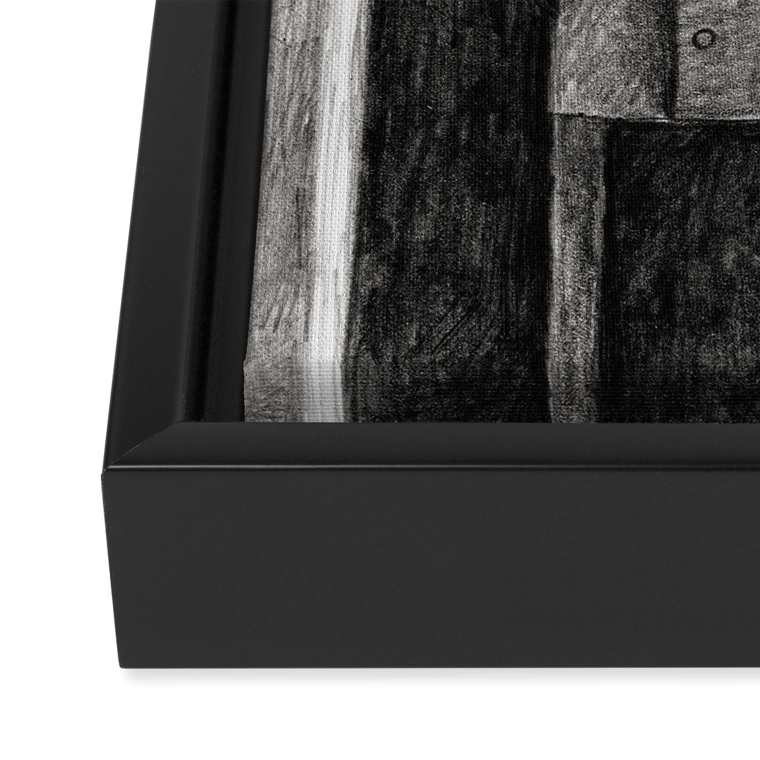 Nosferatu Framed Canvas Print Gallery Image 3