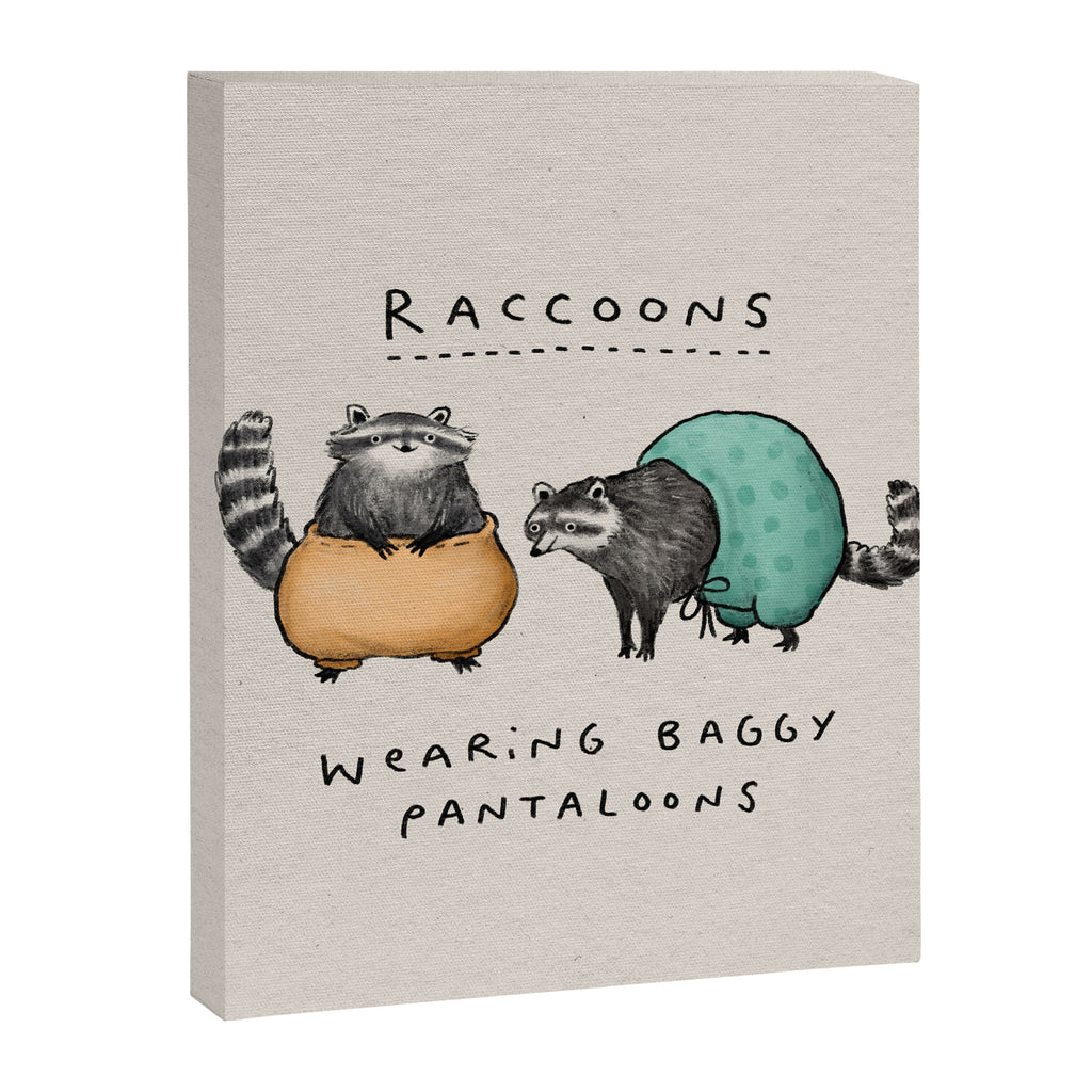 Raccoons Wearing Baggy Pantaloons Canvas Print Gallery Image 8