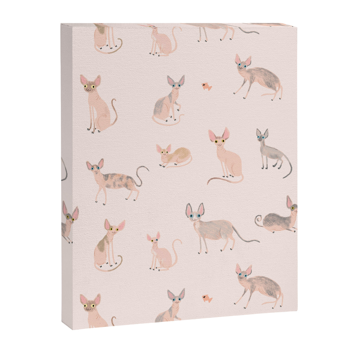 Sphynx Cats - No Furr Don't Care - Cat Pink Canvas Print Gallery Image 8