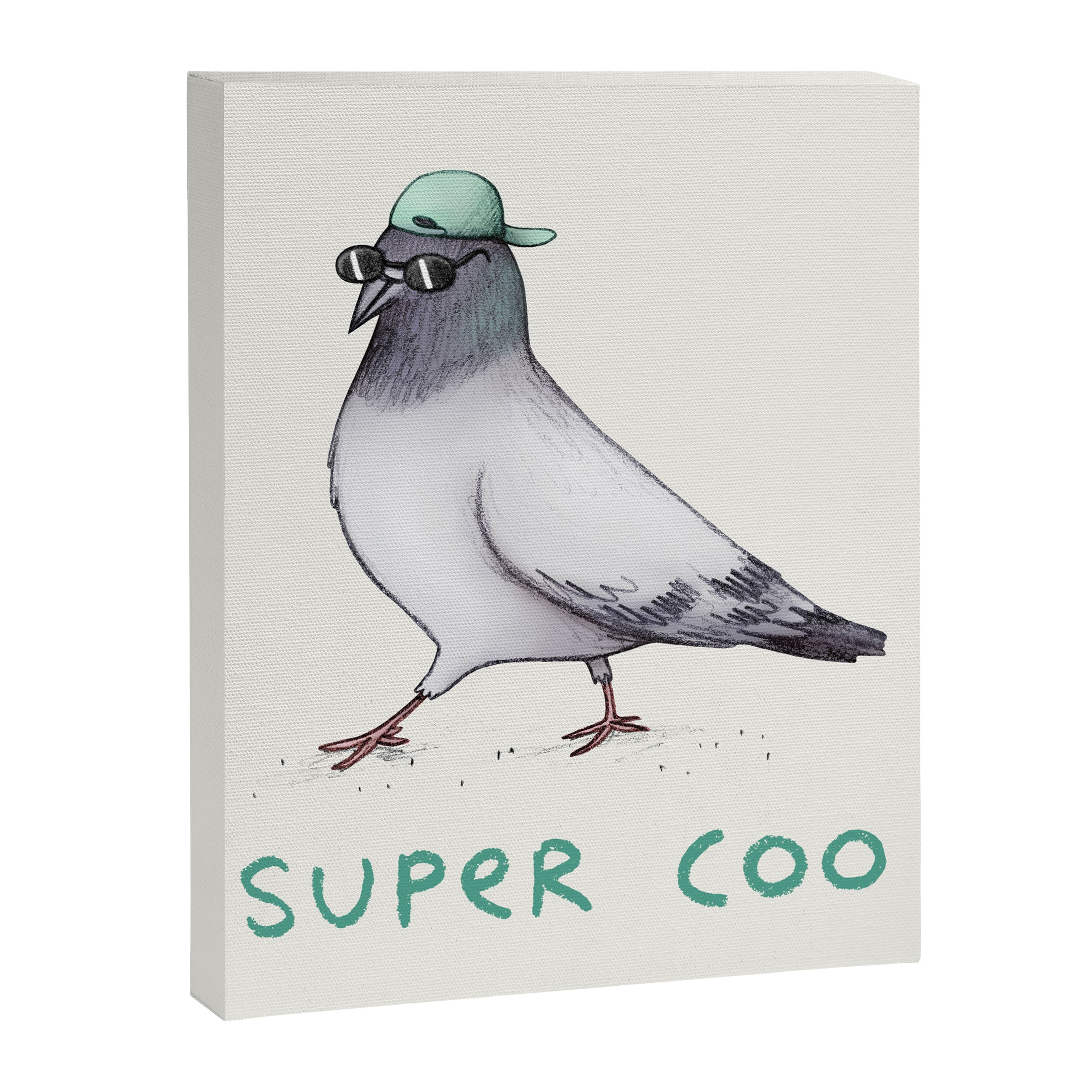 Super Coo Canvas Print Gallery Image 8