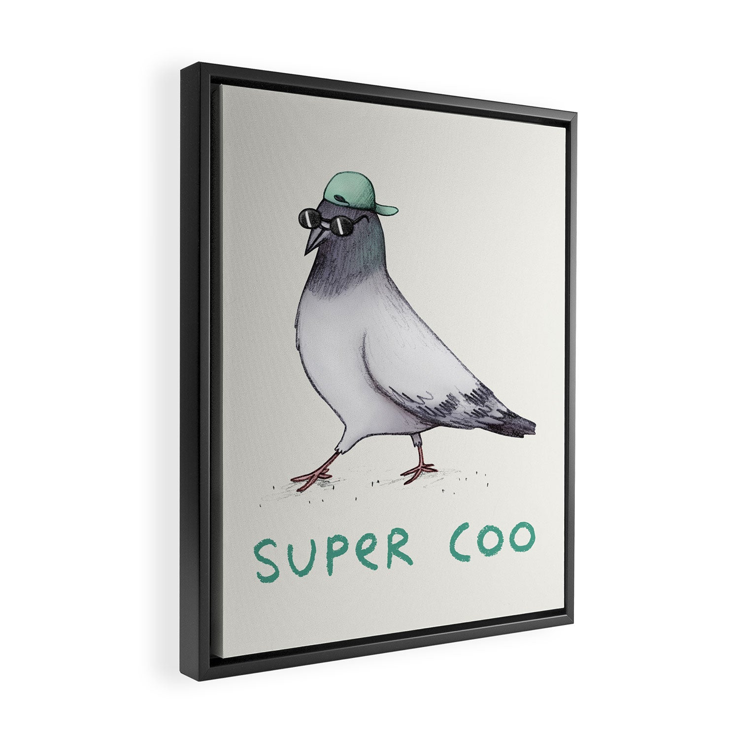 Super Coo Framed Canvas Print Gallery Image 2