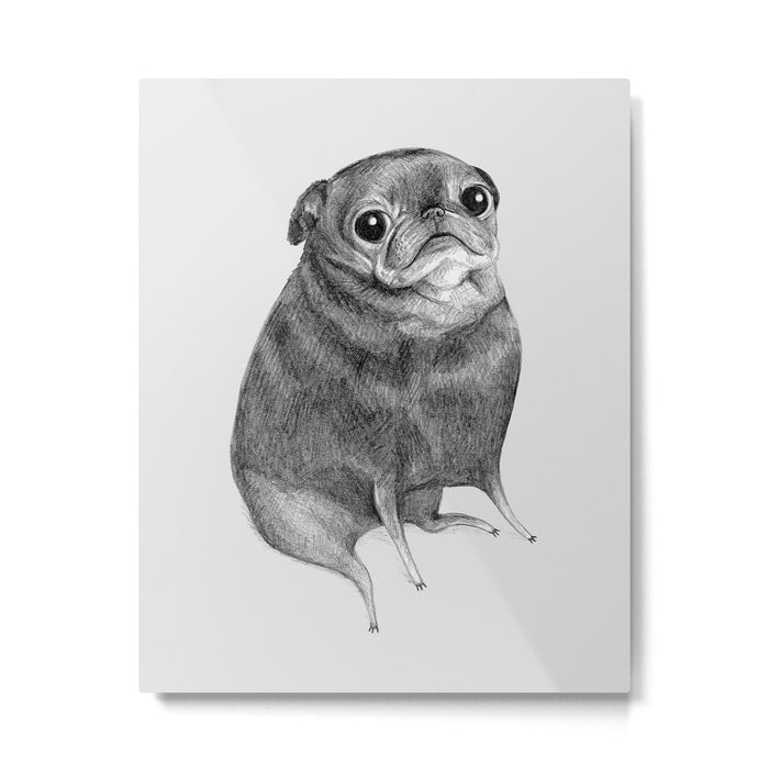 Sweet Black Pug Metal Print Gallery Image 1