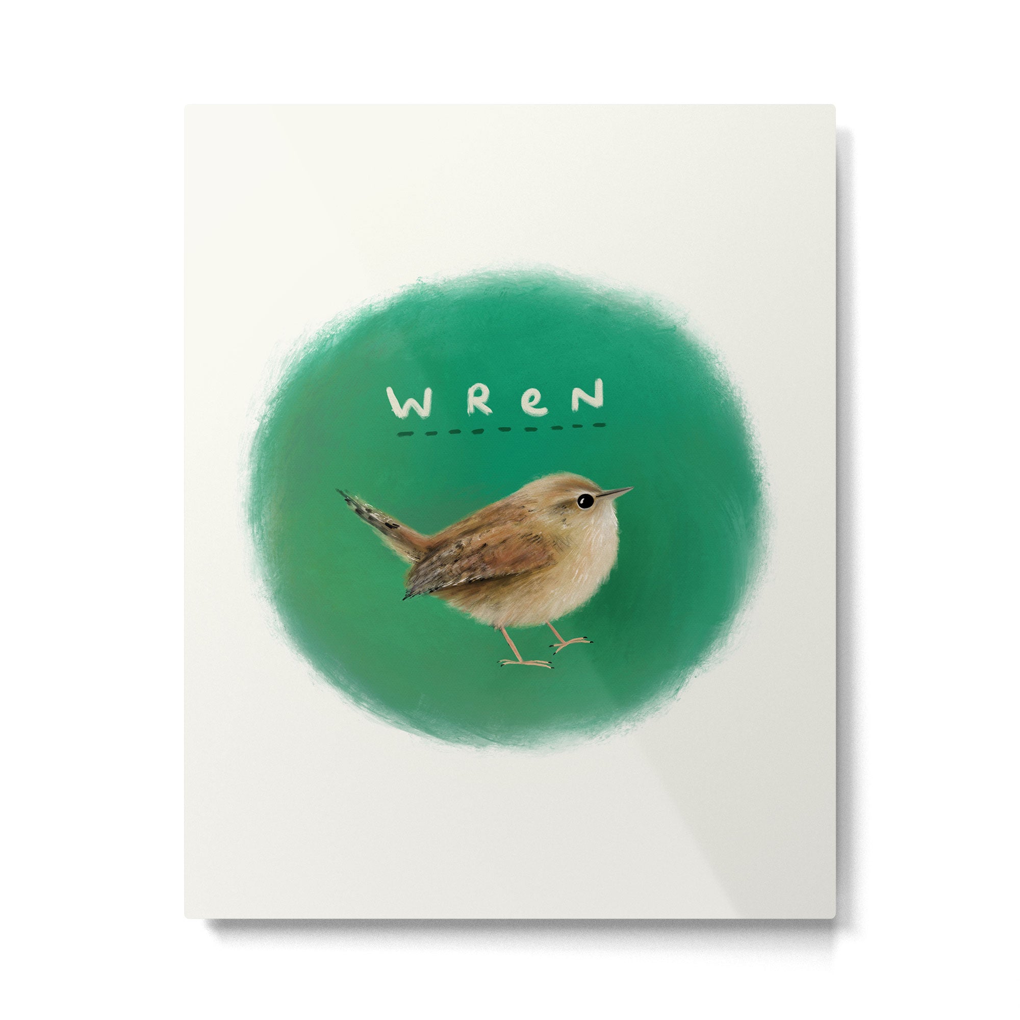 Wren Metal Print Gallery Image 6