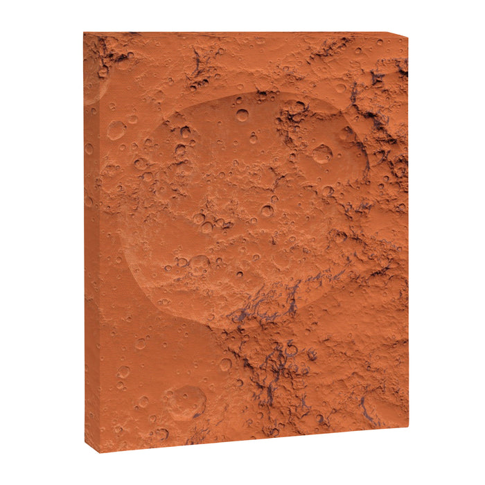 Mars surface Canvas Print Gallery Image 1