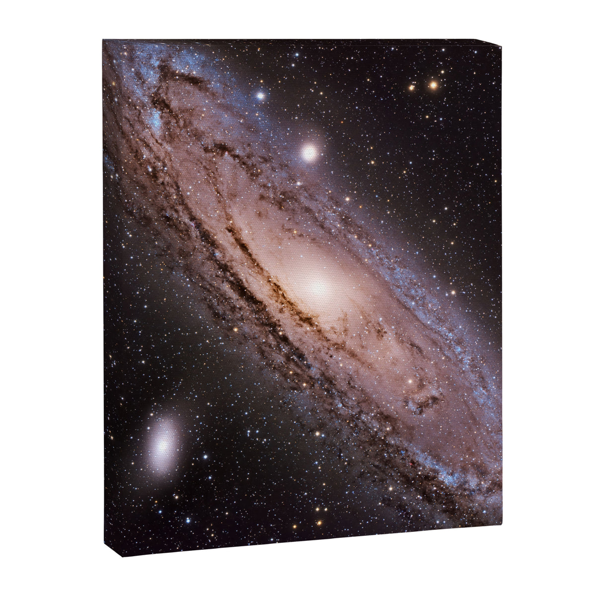 The Andromeda Galaxy Canvas Print Gallery Image 8