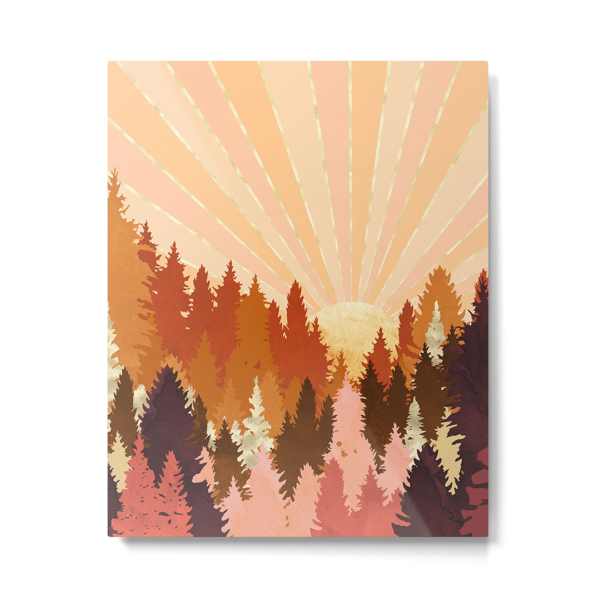 Autumn Forest Metal Print Gallery Image 6