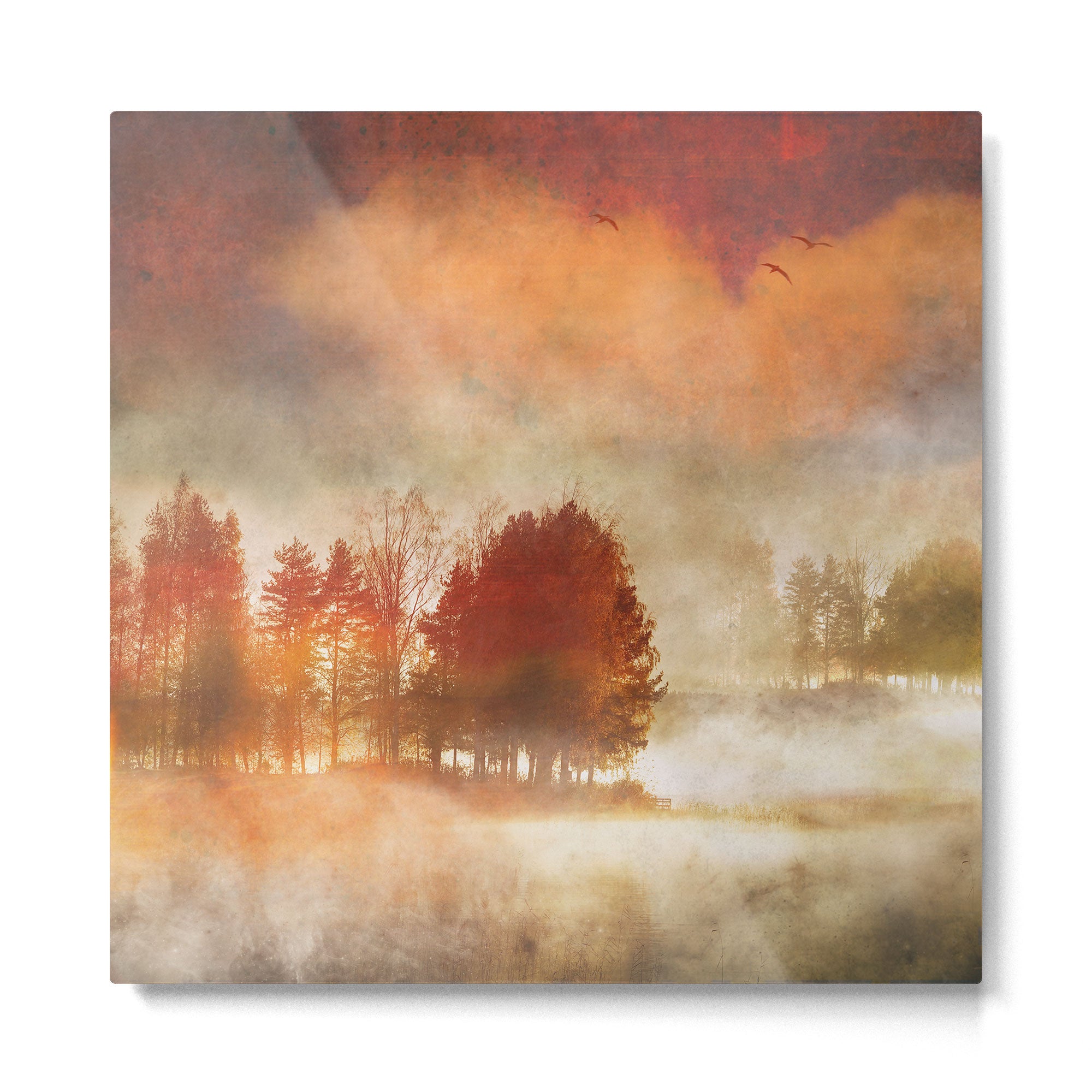 Autumn Mist Metal Print Gallery Image 2