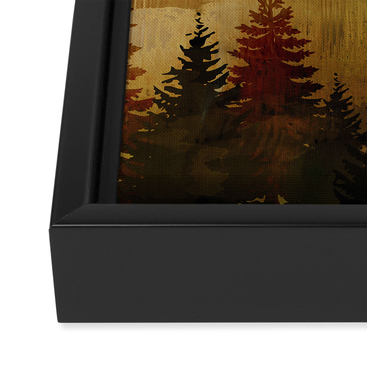 Autumn Sky Framed Canvas Print Gallery Image 3