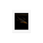 Bond III Art Print Gallery Image 1