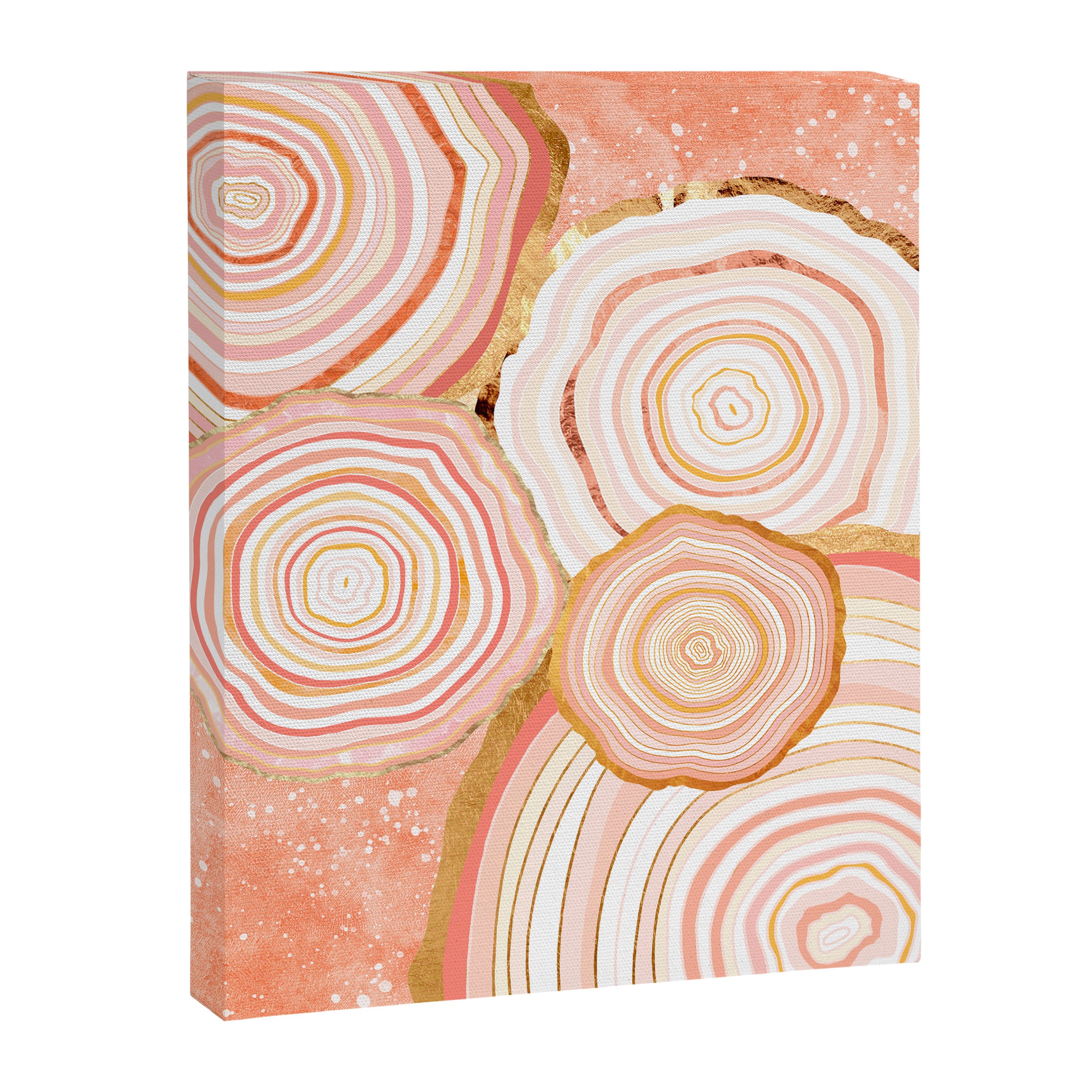 Coral Agate Abstract Canvas Print Gallery Image 8