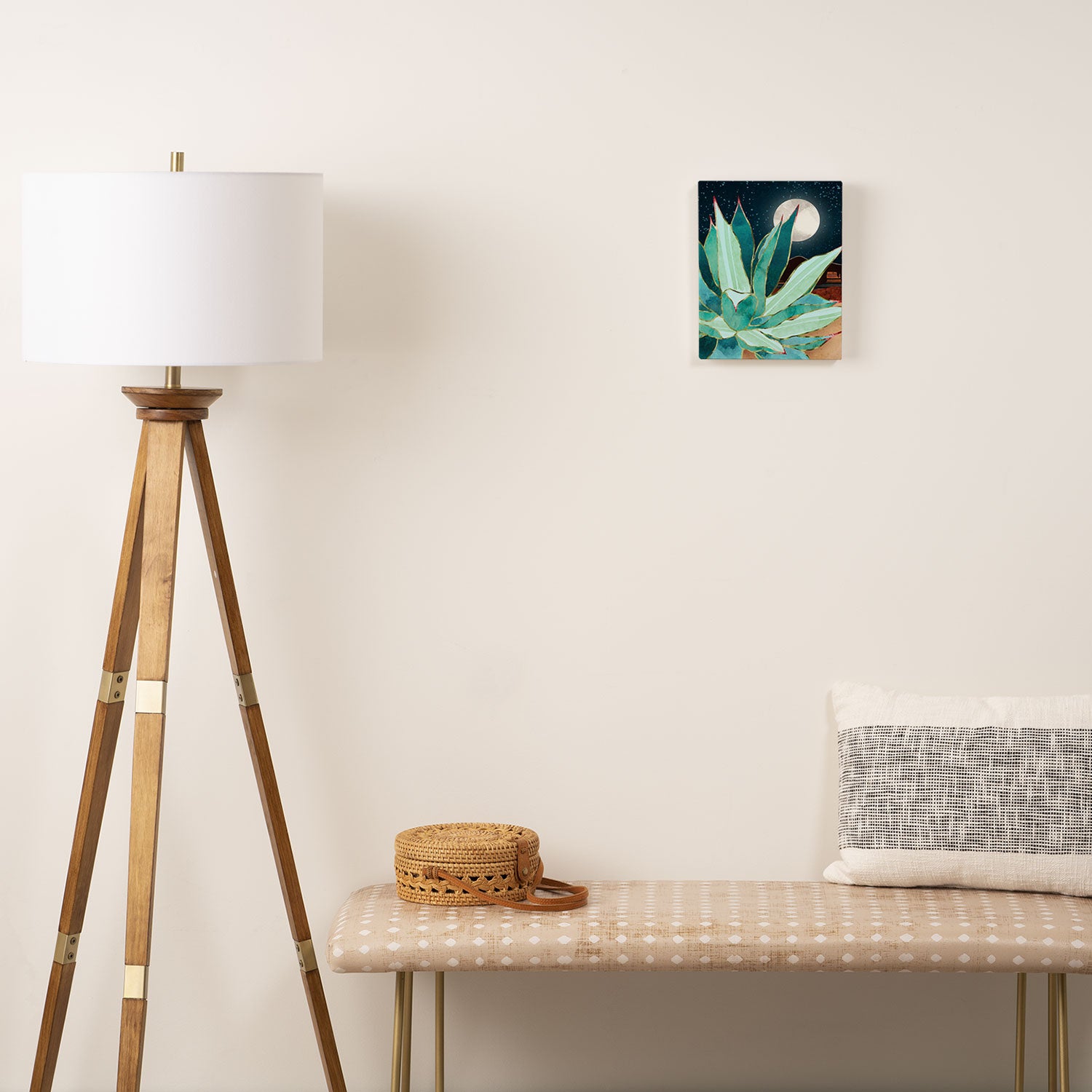 Desert Agave Canvas Print Gallery Image 2
