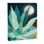 Desert Agave Canvas Print Gallery Image 8