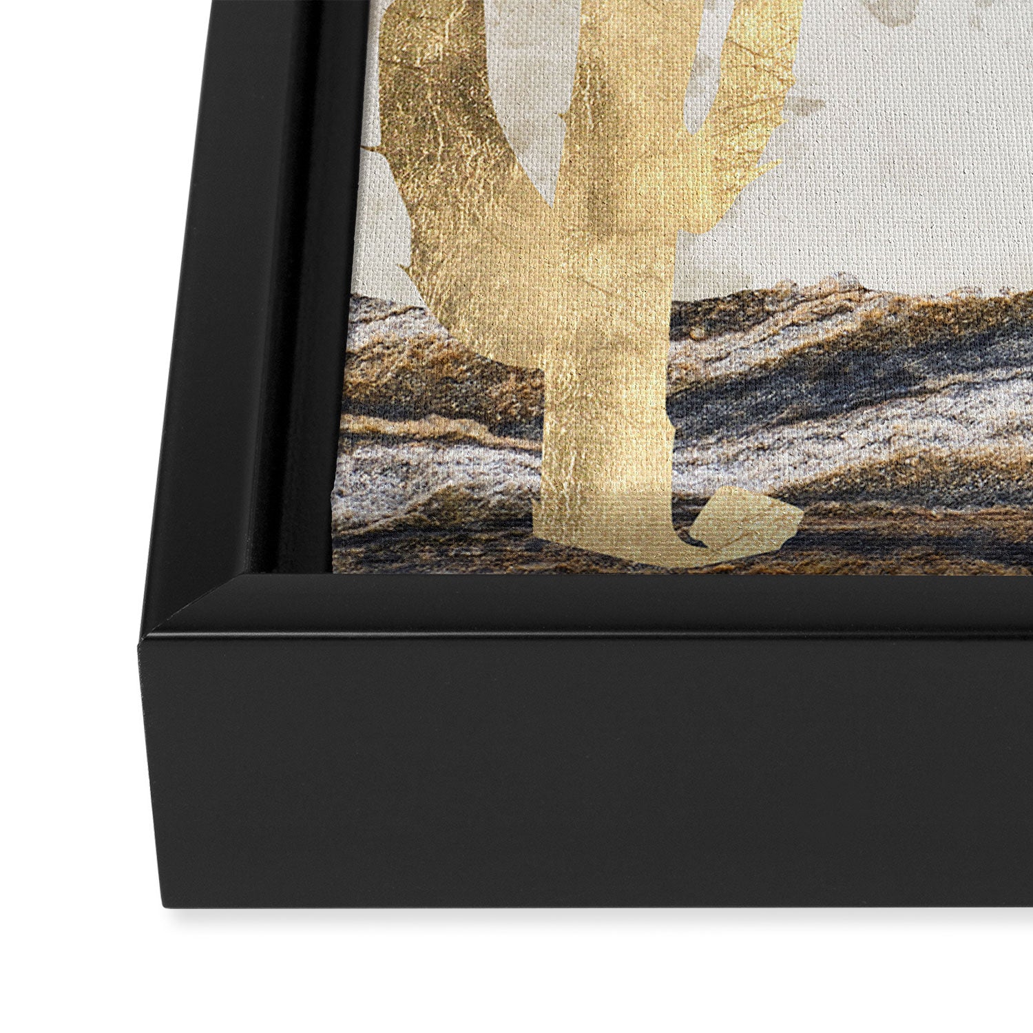 Desert View Framed Canvas Print Gallery Image 3