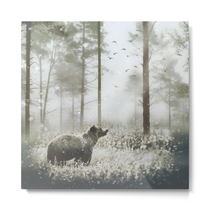 Encounter Metal Print Gallery Image 1