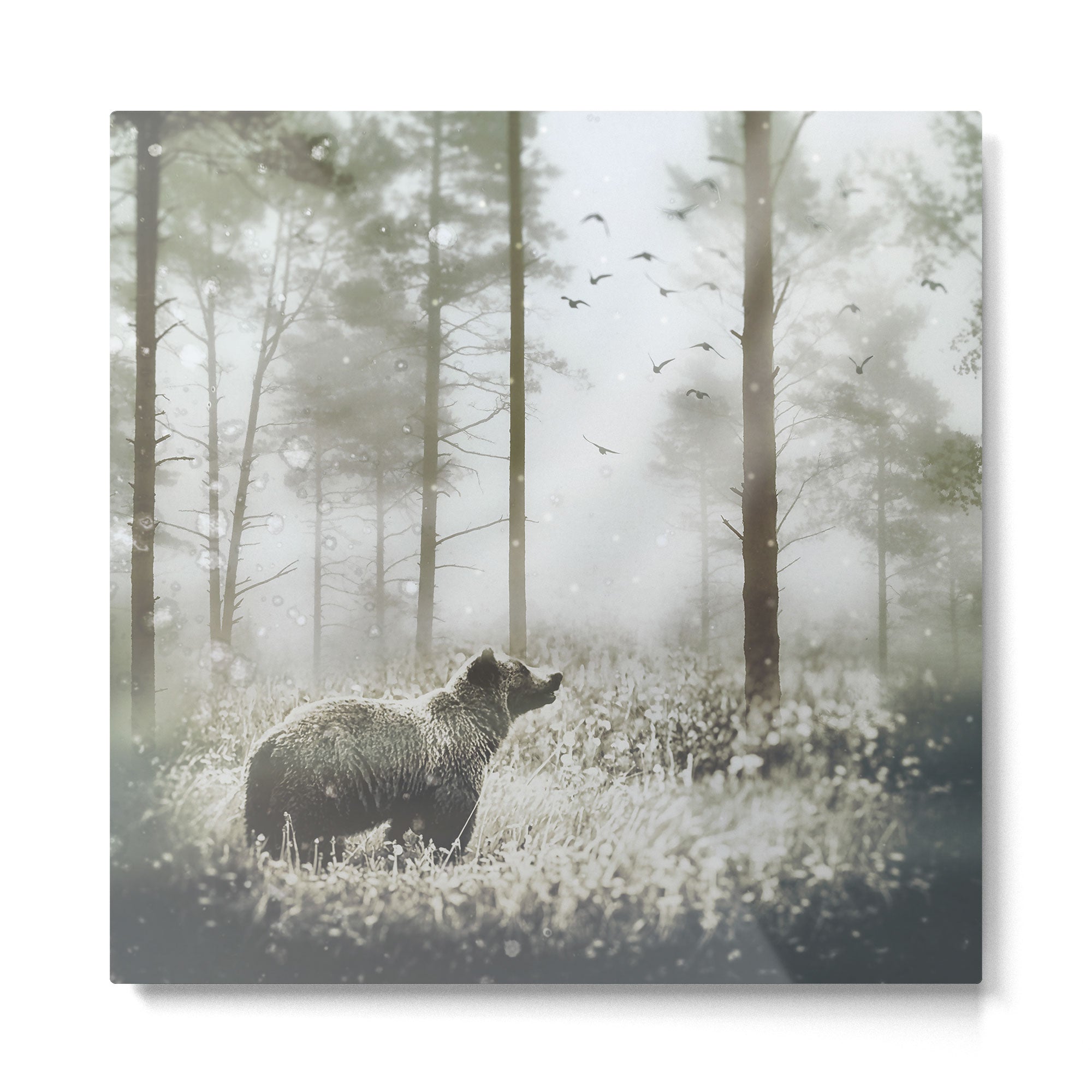 Encounter Metal Print Gallery Image 2