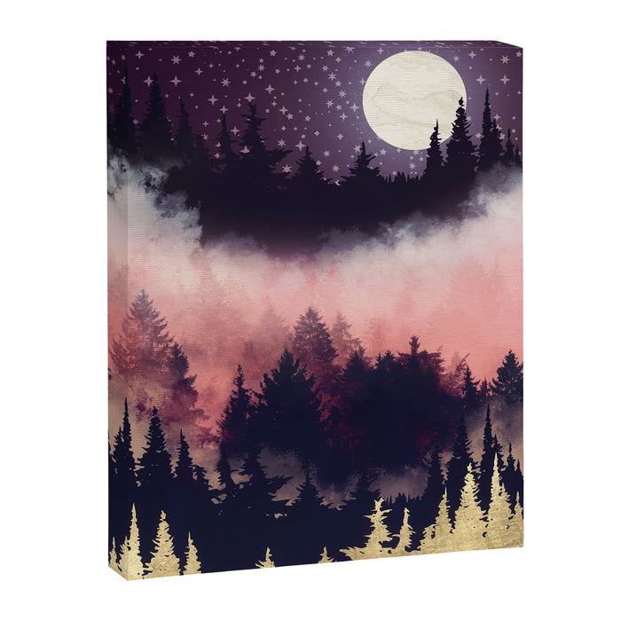 Evening Glow Canvas Print Gallery Image 1
