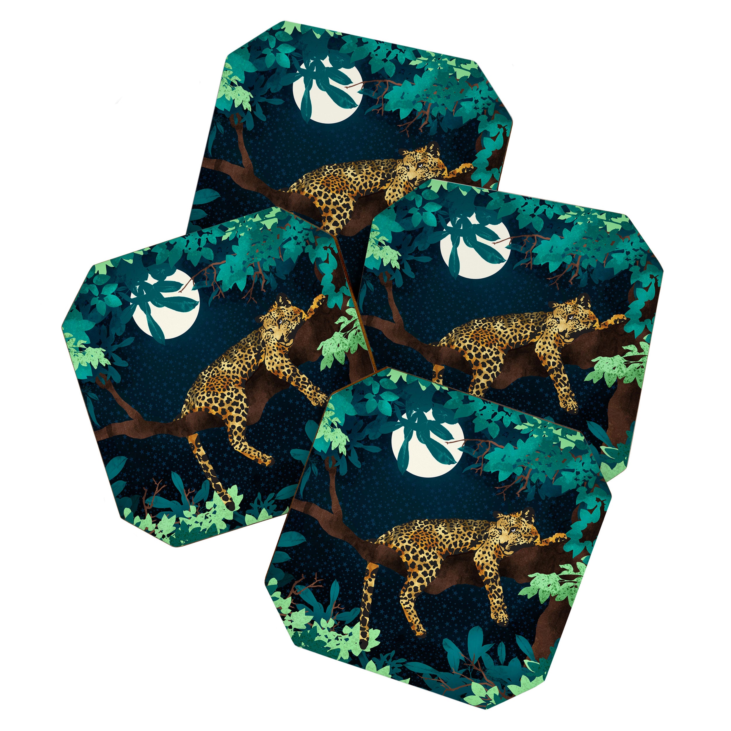 Leopard Dream Coaster Gallery Image 1