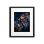 Metallic Betta Fish Framed Art Print Gallery Image 6
